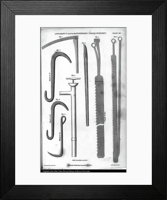 Framed Print : Ice axe, ice anchor, bay ice anchor, blubber pump, bone hand spike, ice saw, further saw, for thinner ice, 1790, Norway, Historic, digitally restored reproduction from a 19th century original, Tools used in whaling Framed Print : Ice axe, ice anchor, bay ice anchor, blubber pump, bone hand spike, ice saw, further saw, for thinner ice, 1790, Norway, Historic, digitally restored reproduction from a 19th century original, Tools used in whaling