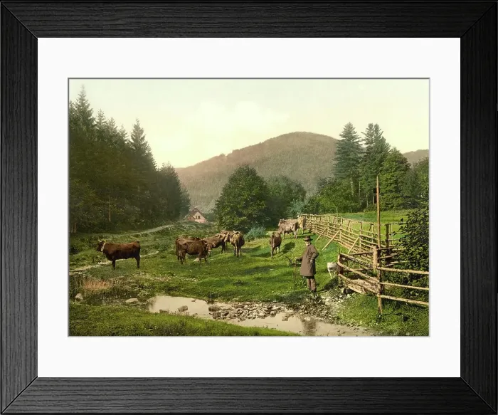 Framed Print : The forester's lodge in Bad Lauterberg in Harz, Lower Saxony, around 1890, Germany, Historic, digitally restored reproduction from a 19th century original Framed Print : The forester's lodge in Bad Lauterberg in Harz, Lower Saxony, around 1890, Germany, Historic, digitally restored reproduction from a 19th century original