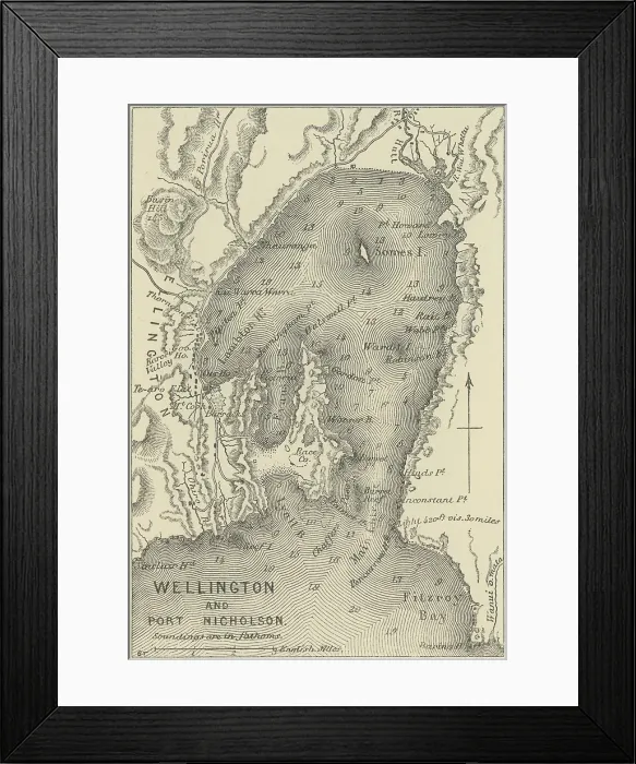 Framed Print : Old chromolithograph map of Wellington and Port Nicholson, New Zealand Framed Print : Old chromolithograph map of Wellington and Port Nicholson, New Zealand