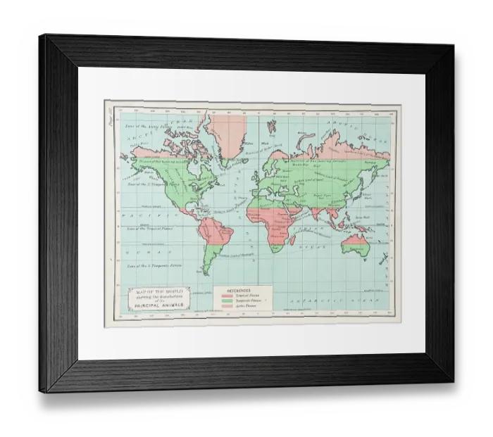 Framed Print : Map of the World showing the distribution of principal animals 1892 Framed Print : Map of the World showing the distribution of principal animals 1892