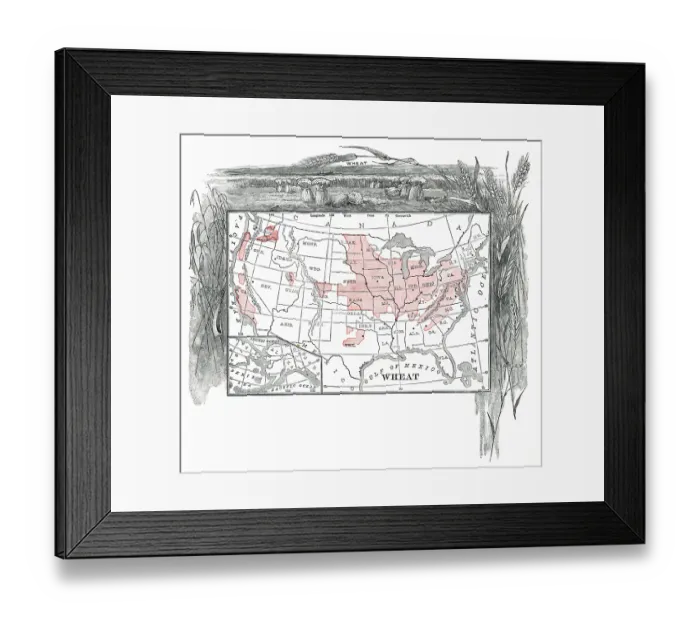 Framed Print : Wheat crop distribution engraving 1867 Framed Print : Wheat crop distribution engraving 1867