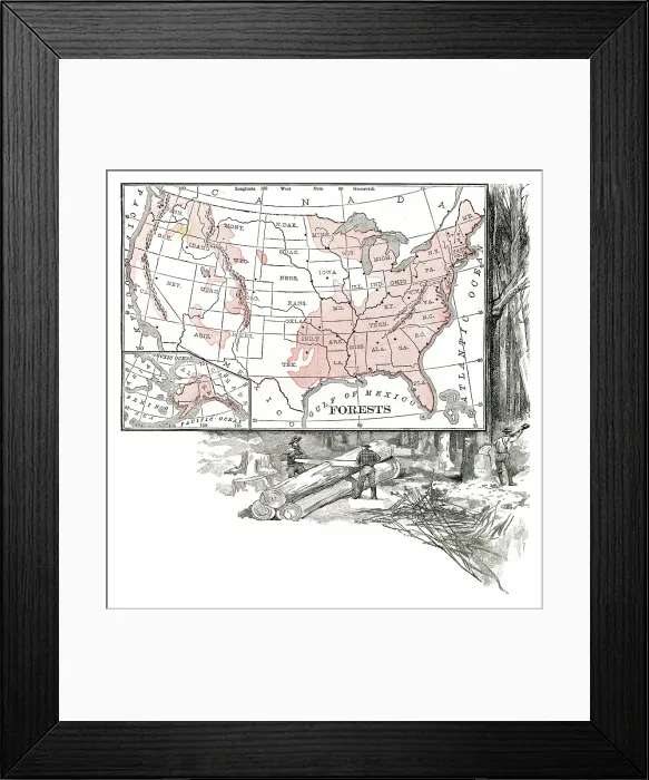 Framed Print : USA forests distribution engraving 1867 Framed Print : USA forests distribution engraving 1867