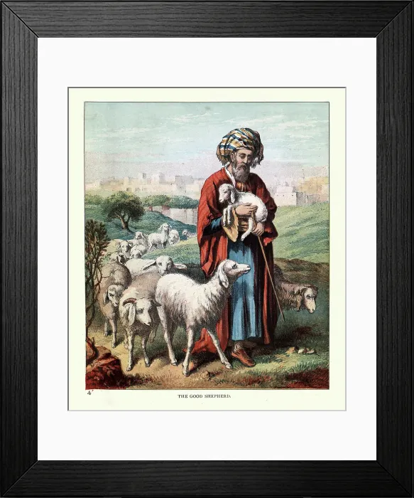 Framed Print : The Good Shepherd with his flock of sheep, Victorian Children's book illustration 19th Century Framed Print : The Good Shepherd with his flock of sheep, Victorian Children's book illustration 19th Century