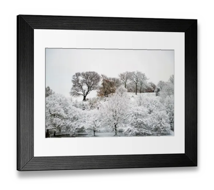 Framed Print : Greenwich Park, London in the Snow Framed Print : Greenwich Park, London in the Snow