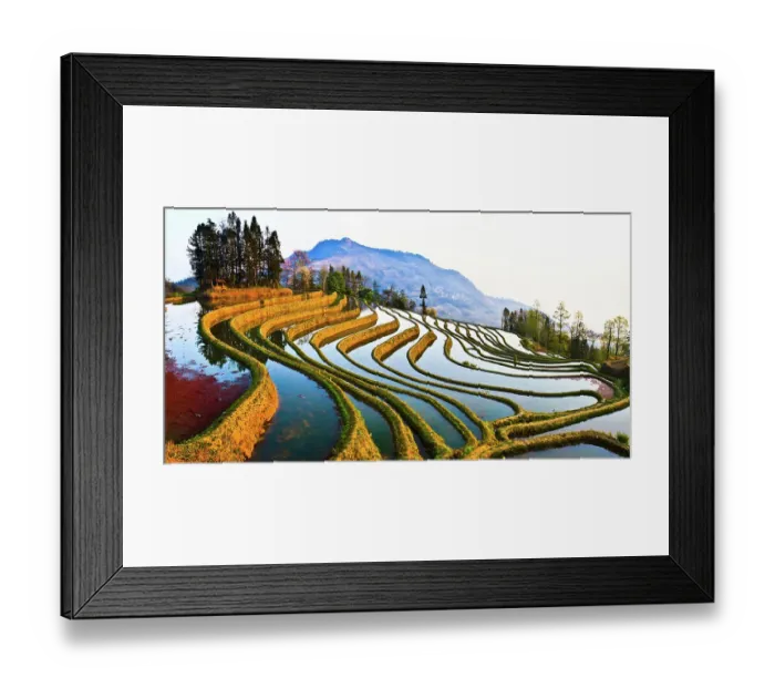 Framed Print : Veins of earth Framed Print : Veins of earth