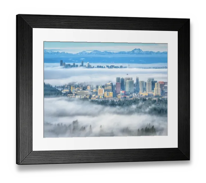 Framed Print : Morning Fog @ Bellevue Washington, USA Framed Print : Morning Fog @ Bellevue Washington, USA