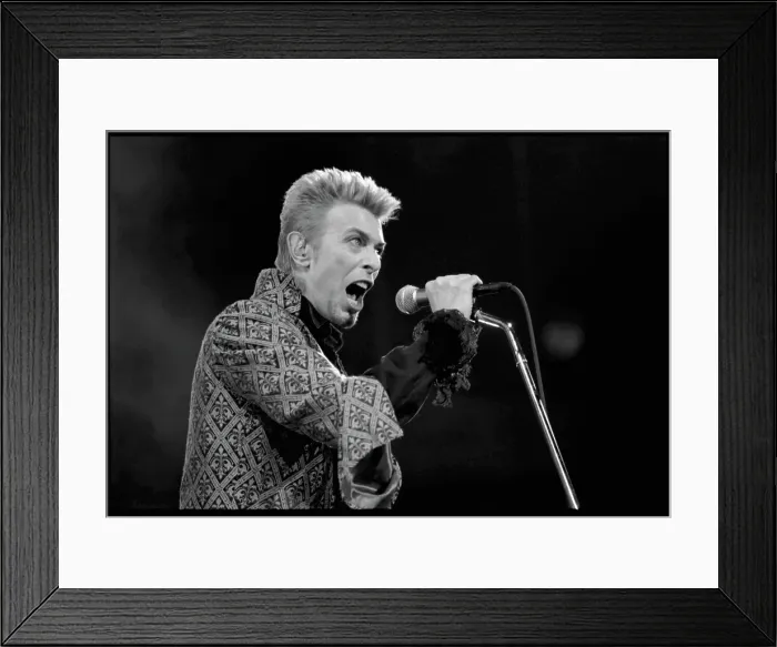 Framed Print : Madison Square Garden Gig Framed Print : Madison Square Garden Gig
