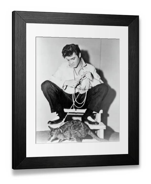 Framed Print : Elvis Presley with a kangaroo for Jailhouse Rock Framed Print : Elvis Presley with a kangaroo for Jailhouse Rock