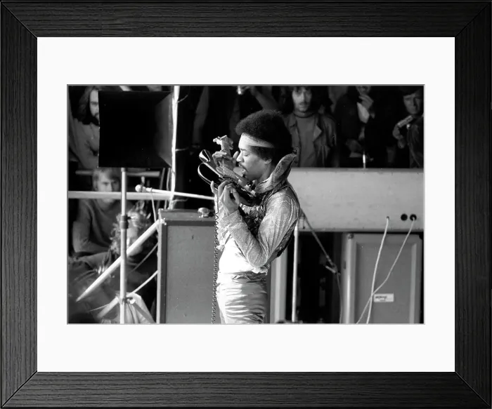 Framed Print : Jimi Hendrix Plays With His Teeth Framed Print : Jimi Hendrix Plays With His Teeth