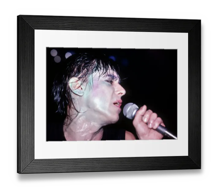Framed Print : Iggy Pop In Ann Arbor, MI Framed Print : Iggy Pop In Ann Arbor, MI