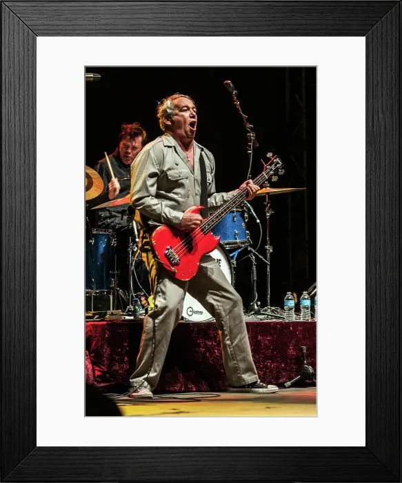 Framed Print : Iggy Pop Live Framed Print : Iggy Pop Live