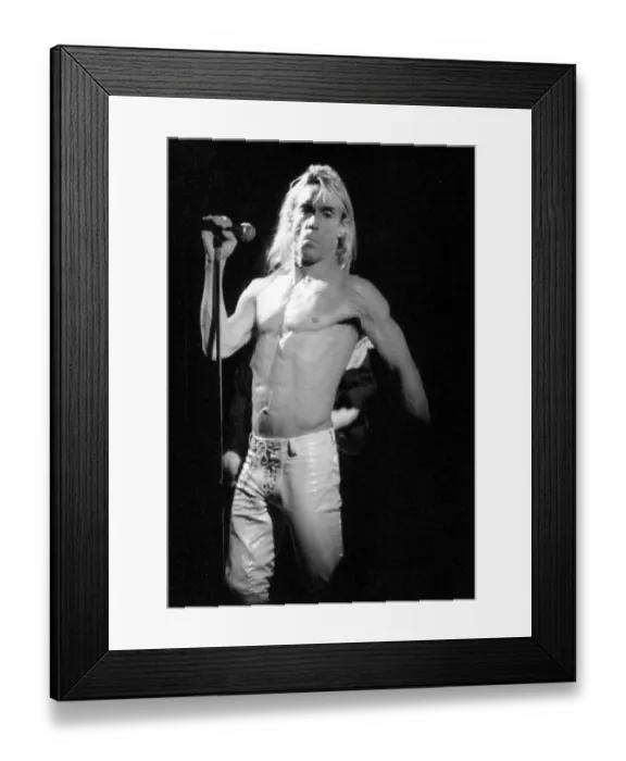Framed Print : Iggy Pop Performs in California Framed Print : Iggy Pop Performs in California