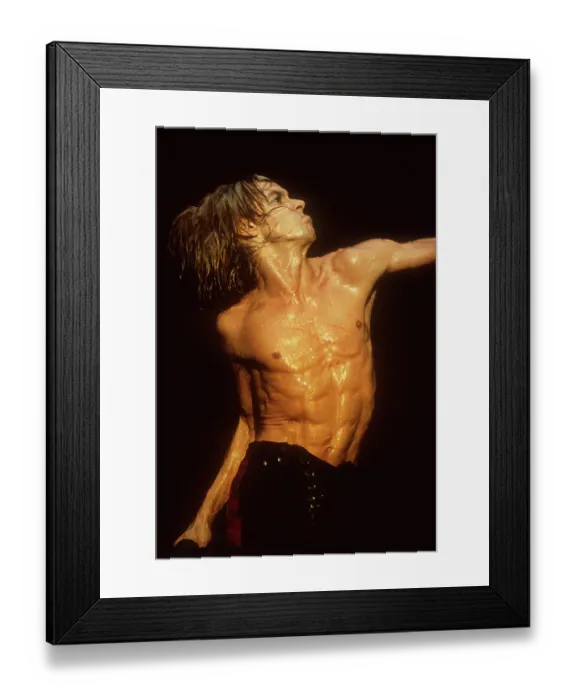 Framed Print : Singer Iggy Pop Live Framed Print : Singer Iggy Pop Live