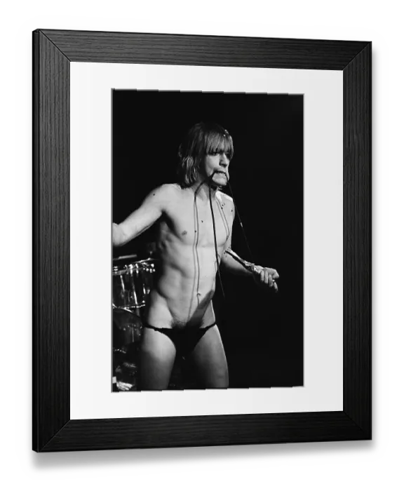 Framed Print : Iggy Pop Performs Live Framed Print : Iggy Pop Performs Live