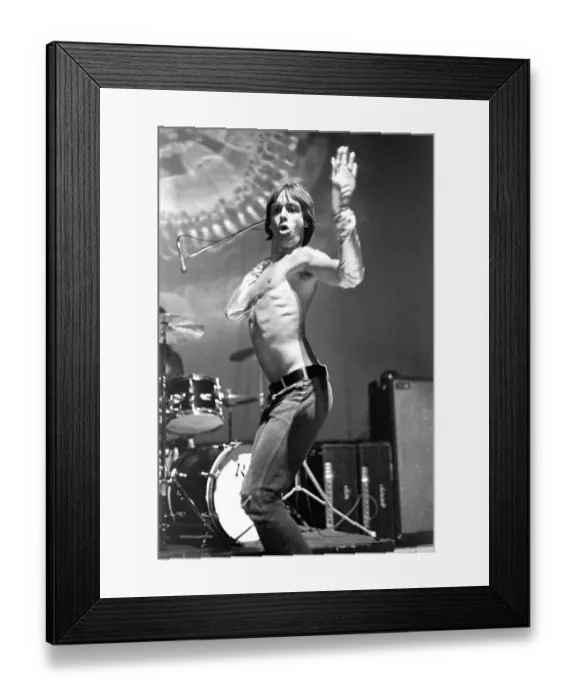 Framed Print : Iggy And The Stooges Framed Print : Iggy And The Stooges