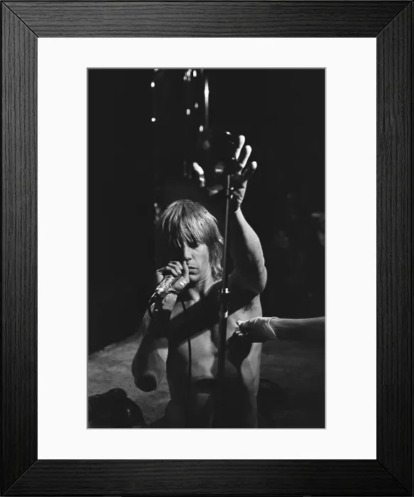 Framed Print : Iggy Pop Performs Live Framed Print : Iggy Pop Performs Live