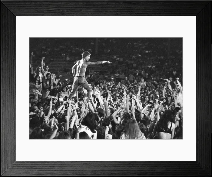 Framed Print : Iggy Pop Live Framed Print : Iggy Pop Live