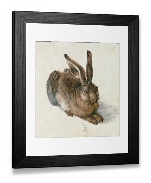Framed Print : Hase. GERMANY - CIRCA 1500: Hare - Hase. Watercolour