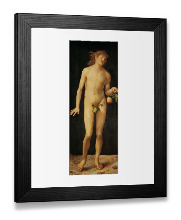 Framed Print : Adam. UNSPECIFIED - CIRCA 1507: Adam, 1507