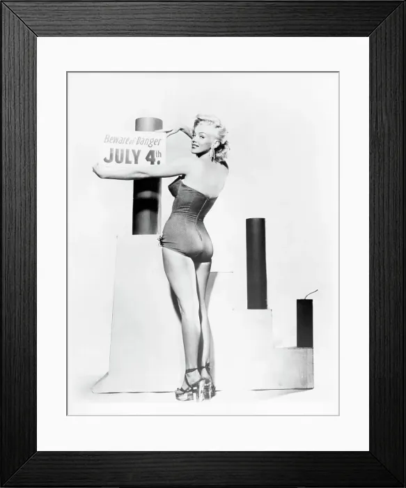 Framed Print : 4th Of July Public Service Announcement Framed Print : 4th Of July Public Service Announcement