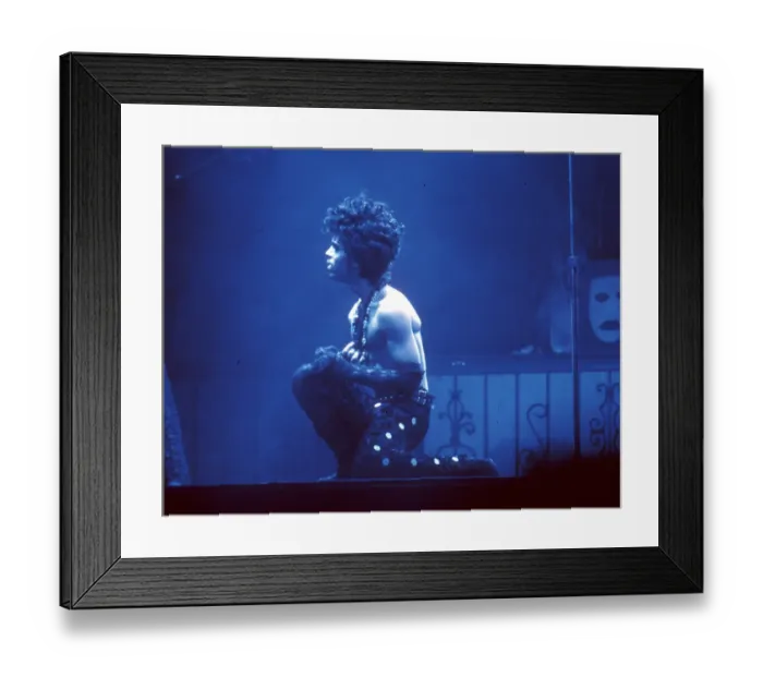Framed Print : Prince Live In LA