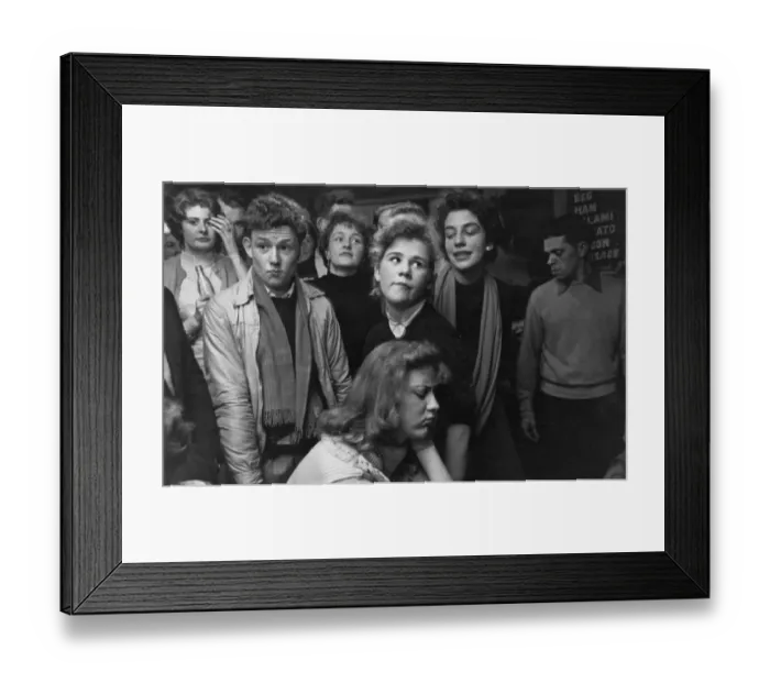 Framed Print : Cats Whiskers Club Framed Print : Cats Whiskers Club