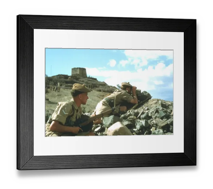 Framed Print : Keeping Watch Framed Print : Keeping Watch