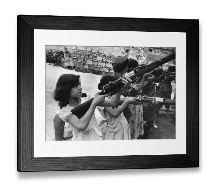 Framed Print : Trained To Kill Framed Print : Trained To Kill