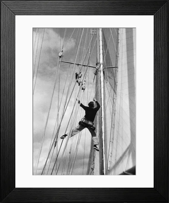 Framed Print : In The Rigging Framed Print : In The Rigging