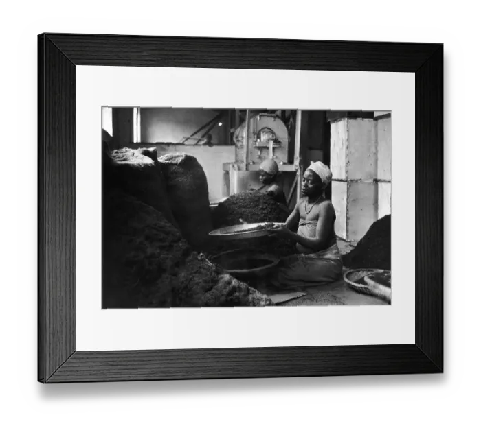 Framed Print : Sifting Tea Framed Print : Sifting Tea