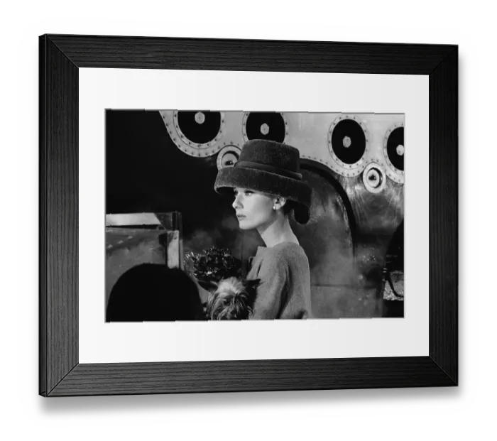 Framed Print : Audrey's Funny Face Framed Print : Audrey's Funny Face
