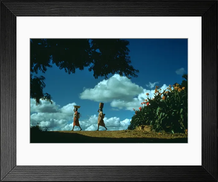 Framed Print : African Reserve Framed Print : African Reserve