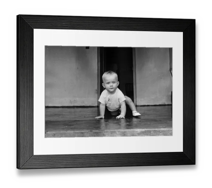 Framed Print : Young Rhodesian Framed Print : Young Rhodesian