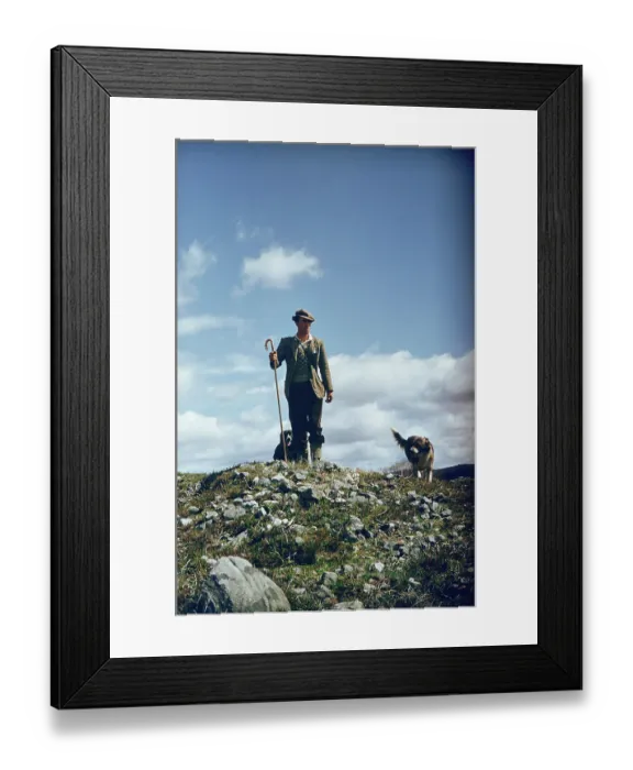 Framed Print : Hill Shepherd Framed Print : Hill Shepherd
