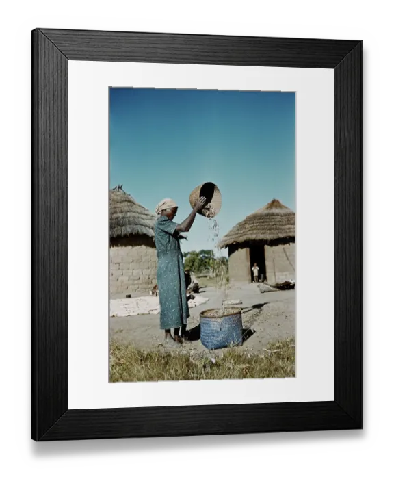 Framed Print : Winnowing Groundnuts Framed Print : Winnowing Groundnuts