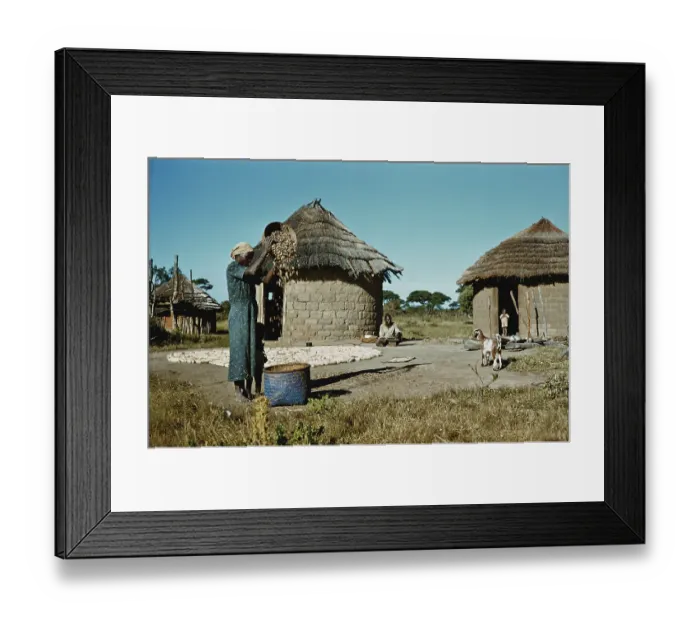 Framed Print : Sifting Groundnuts Framed Print : Sifting Groundnuts