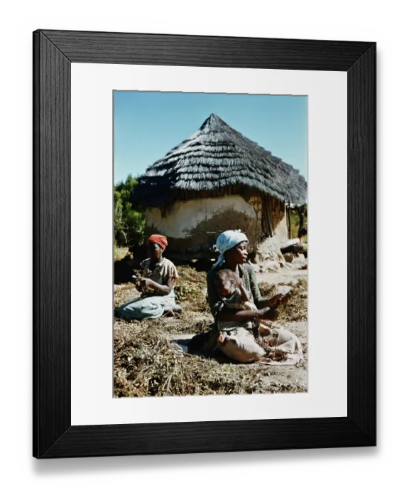 Framed Print : Preparing Groundnut Framed Print : Preparing Groundnut
