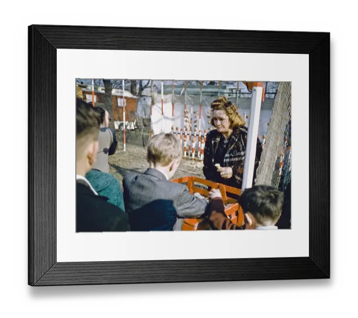 Framed Print : Coconut Shy Framed Print : Coconut Shy