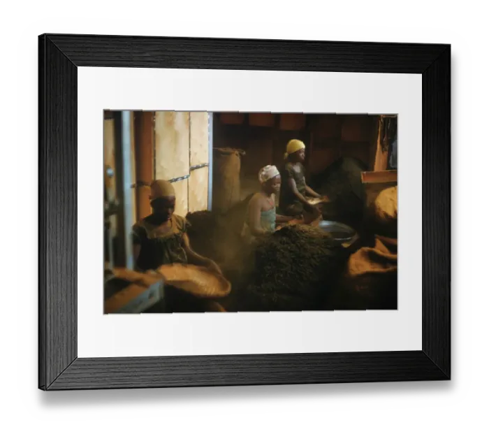 Framed Print : Sifting Tea Framed Print : Sifting Tea