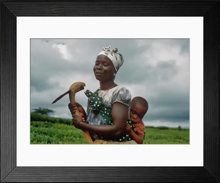 Framed Print : Tea Picker And Child Framed Print : Tea Picker And Child