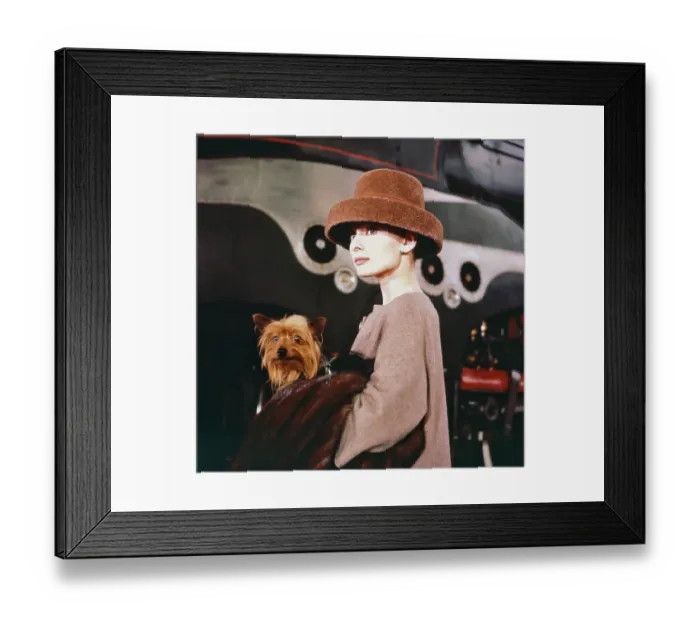 Framed Print : Funny Face Framed Print : Funny Face
