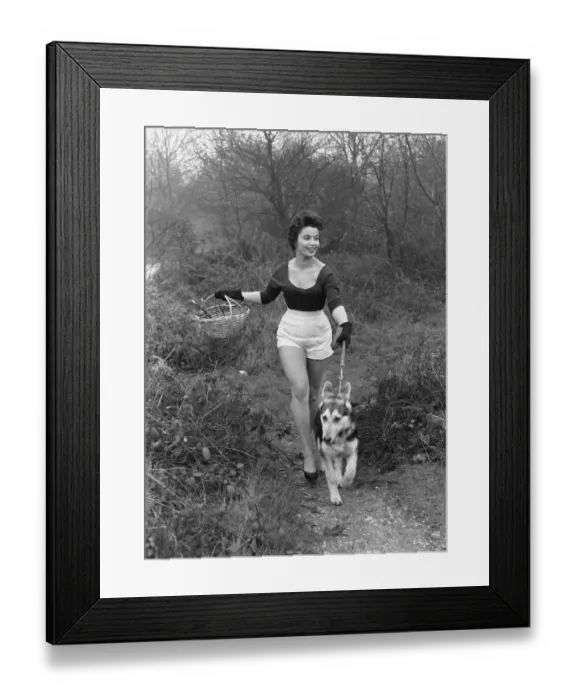 Framed Print : Park Walk. January 1956: Model Marilyn Ridge walking her dog in Streatham Park, London Framed Print : Park Walk. January 1956: Model Marilyn Ridge walking her dog in Streatham Park, London