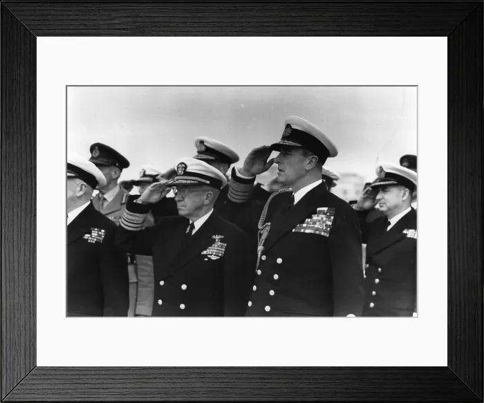 Framed Print : Two Admirals Framed Print : Two Admirals