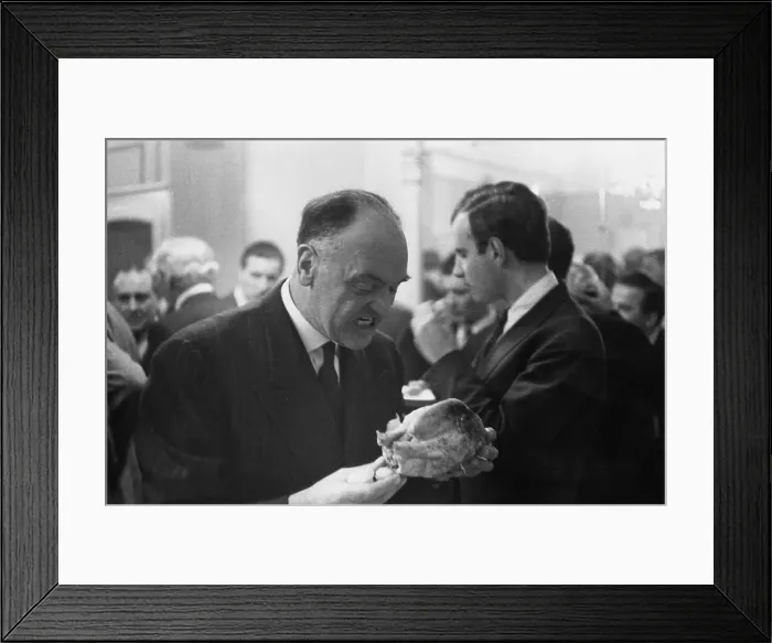Framed Print : Hungry College Harry Framed Print : Hungry College Harry