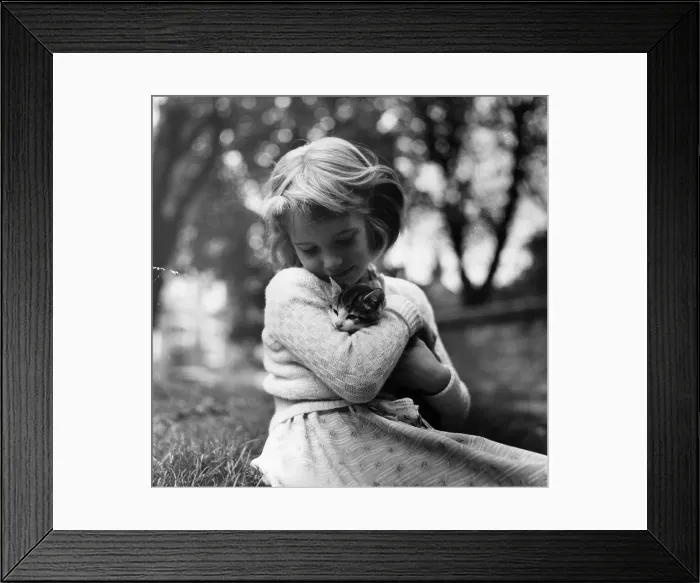 Framed Print : Cuddly Kitty Framed Print : Cuddly Kitty