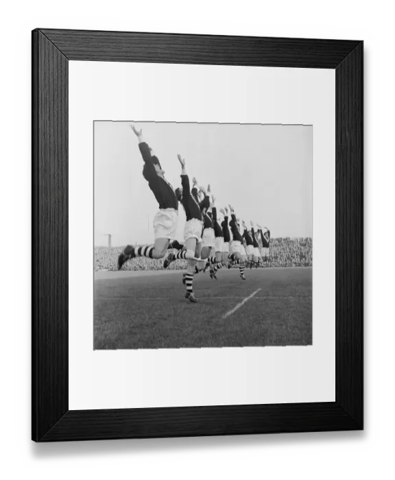 Framed Print : Kiwis In Action