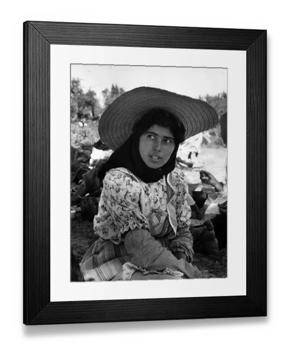 Framed Print : Rice Worker Framed Print : Rice Worker
