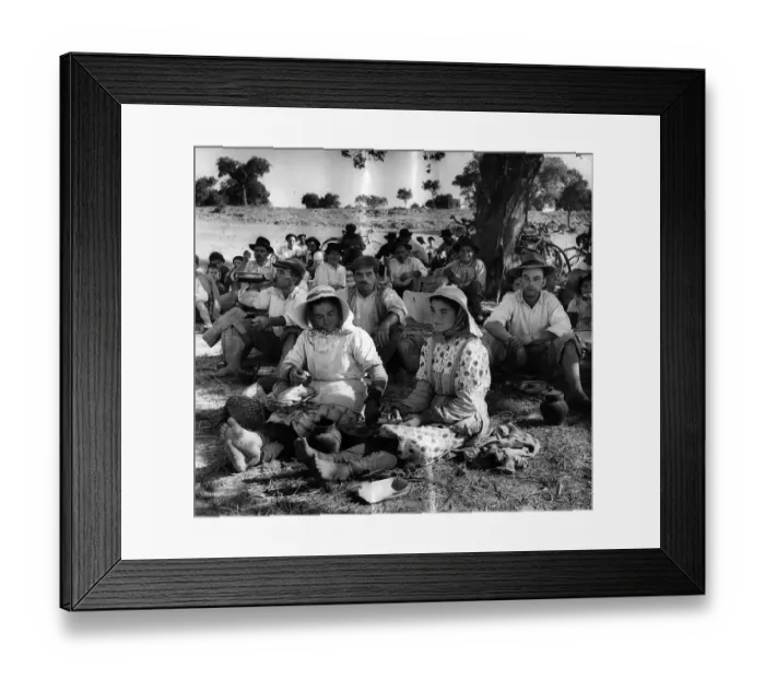 Framed Print : Harvest Picnic Framed Print : Harvest Picnic