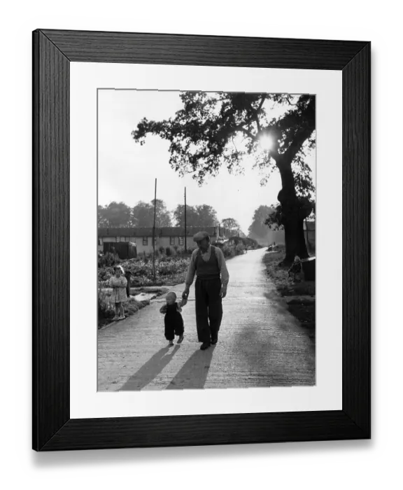 Framed Print : Walking In Sunshine Framed Print : Walking In Sunshine
