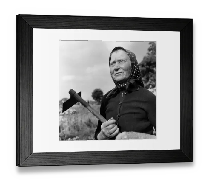 Framed Print : Polish Emigre Framed Print : Polish Emigre